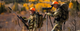 container_max_cropped-public-content-images-2024-01-burris_signature_hd_spotting_scope_couple_glassing_.webp.png