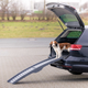 prod1000-pro_dog_39476-2.png