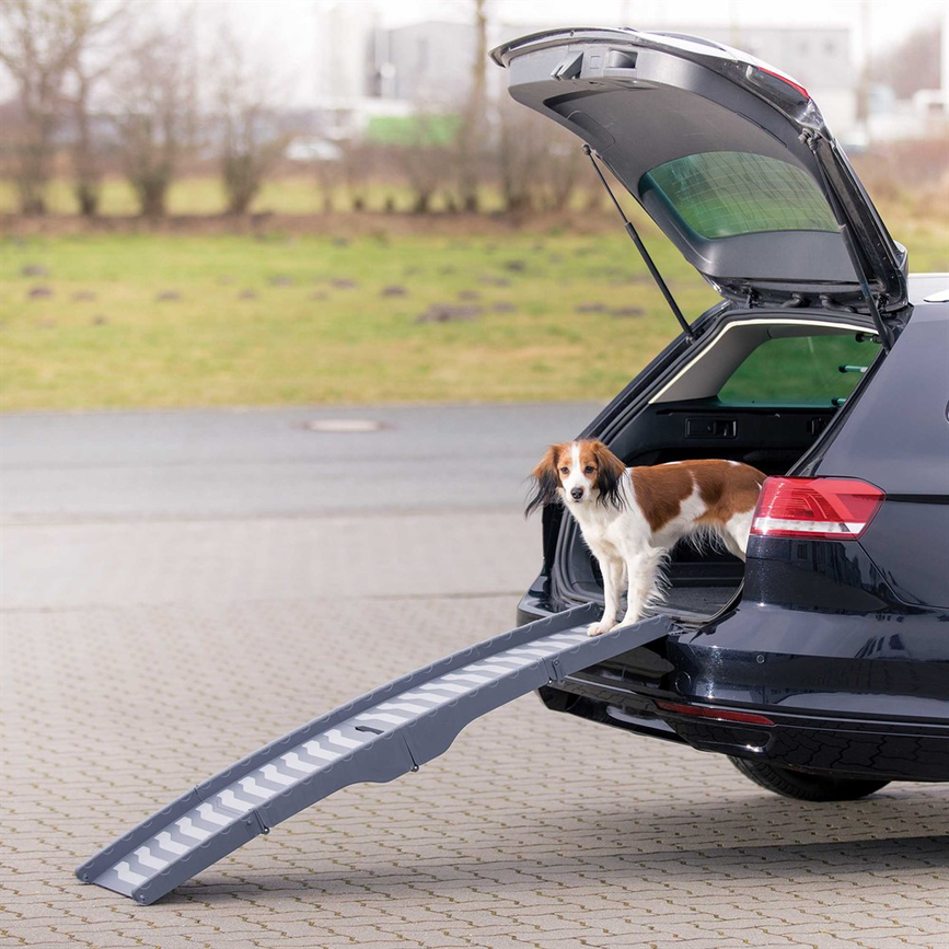 prod1000-pro_dog_39476-2.png
