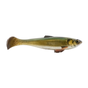 Golden Shiner