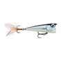 Baby Aspius