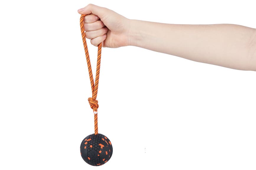dogballonrope_8102-8103_03.jpg