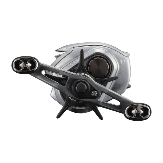 reels-001-0ckxm8i_21_zillion_sv_tw-zillion_sv_tw_1000hl_cut2.png