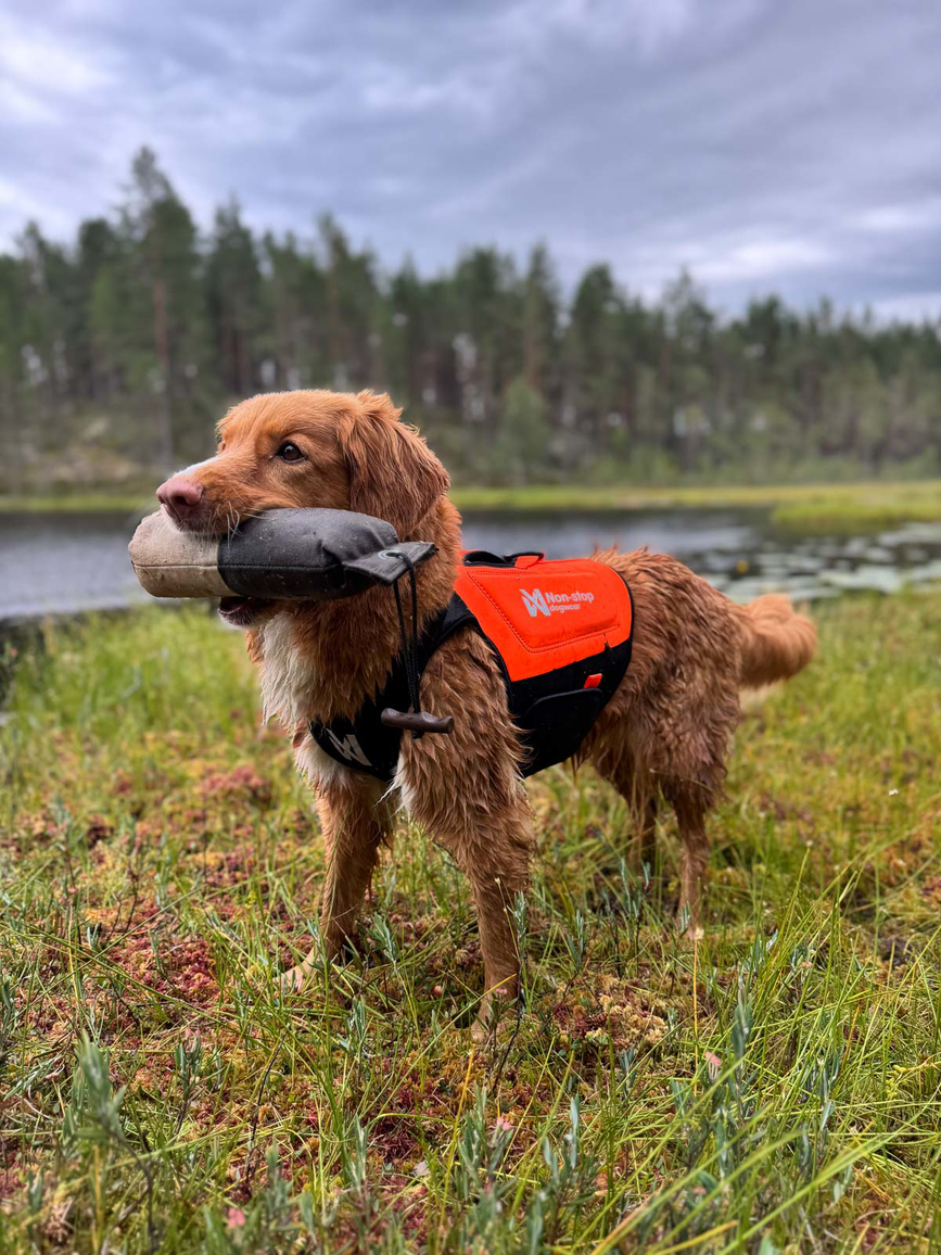 protector_neoprene_vest_setting_3.png
