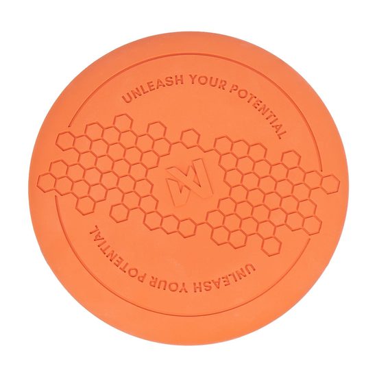 dog_flying_disc_1.png