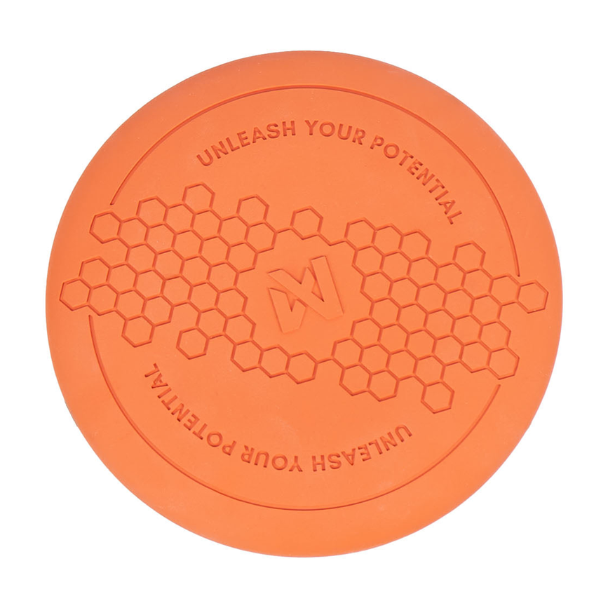 dog_flying_disc_1.png