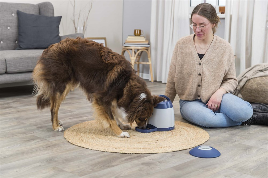 prod1000-australianshepherd-32040-wohnzimmer-4.png