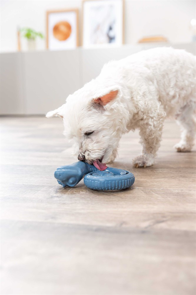 prod1000-_dog_34950-5.png