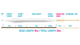 xo150_taper_cbbd79e3-a594-458e-9285-4e89a362bad7.png