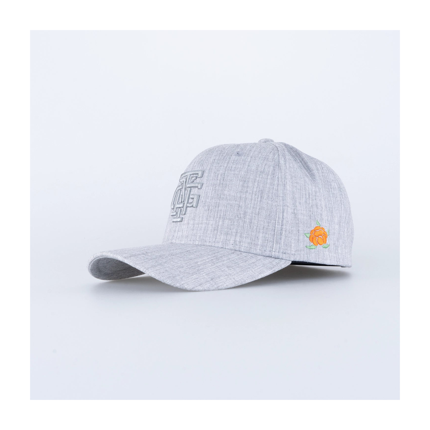 files-tgnsymbol120keps-allgrey1.png
