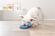 prod1000-_dog_34950-7.png