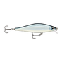Baby Aspius