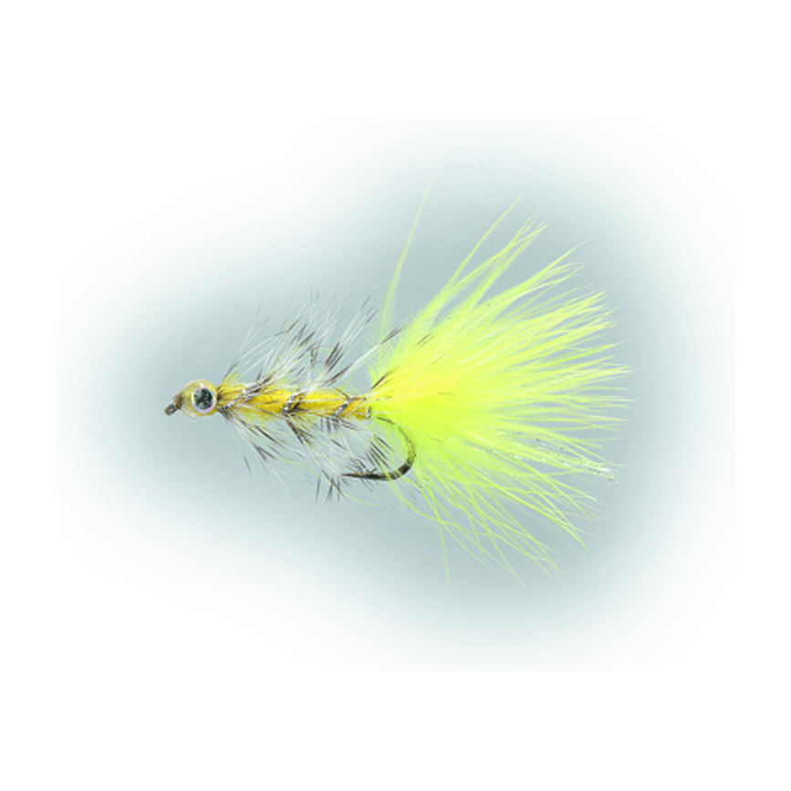 4-fairpoint-public-pim-bc-96c5f480-8ccc-4efd-b775-a01a6028cf9c-fl20000v_fl22024_large.png