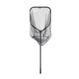 Large
