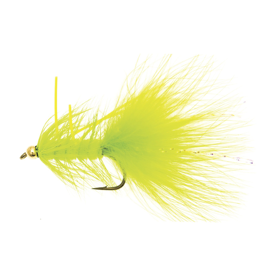 4-fairpoint-public-pim-bc-826d8c8d-8c13-4f56-8bcd-b962857d663a-fl24099xp_fl00117_large.png