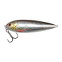 Silver Roach