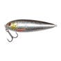 Silver Roach