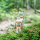 590203_e0.png