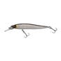 Baitfish