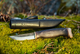 2020-09-carbon-blackbirch-1_.webp.png