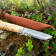 cdn-shop-files-156638120-origpic-8c8ae0_2048x2048.png
