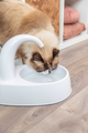 prod1000-cat_24444-3.png