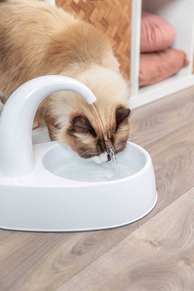 prod1000-cat_24444-3.png