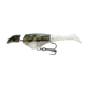 0035-7475-9494-files-shad11_minnow.png