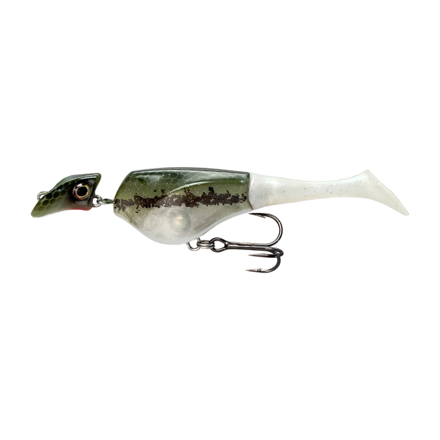 0035-7475-9494-files-shad11_minnow.png