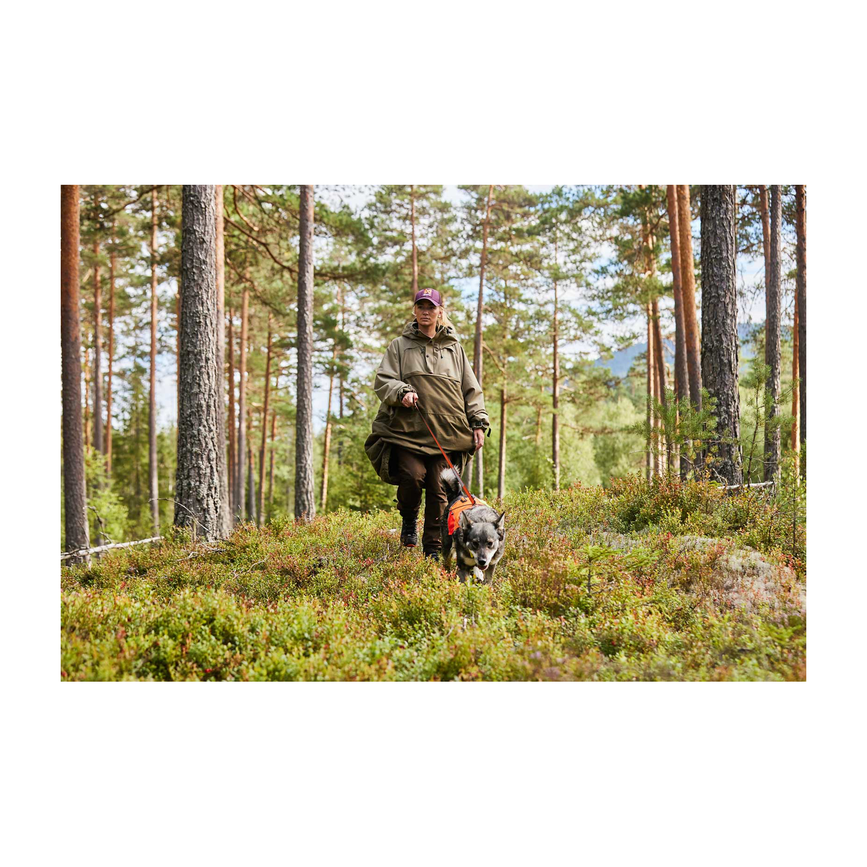 forest_anojakka_2_0_setting_1.png