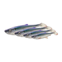 Clear Pike