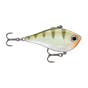 Yellow Perch
