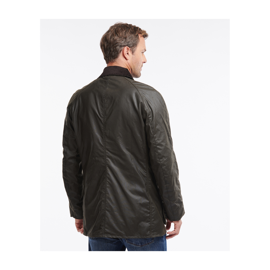 mwx0086ol71_04back_model.png