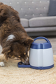 prod1000-australianshepherd-32040-wohnzimmer-5.png