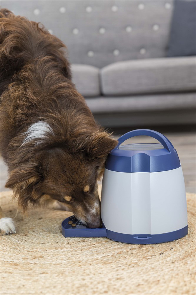 prod1000-australianshepherd-32040-wohnzimmer-5.png