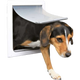 prod1000-dog_clip_3878-2.png