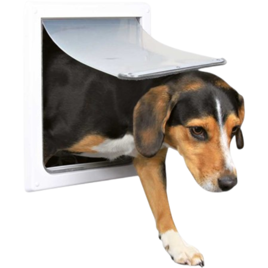 prod1000-dog_clip_3878-2.png