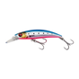 Pink Belly Sardine