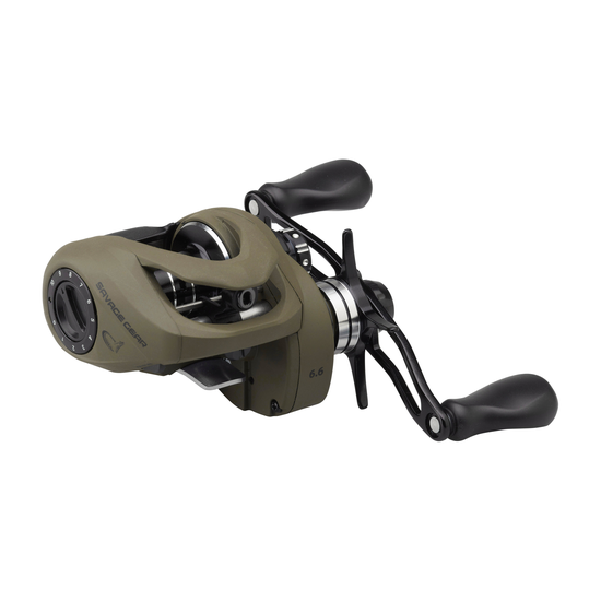 svs_sgp010_ms.png