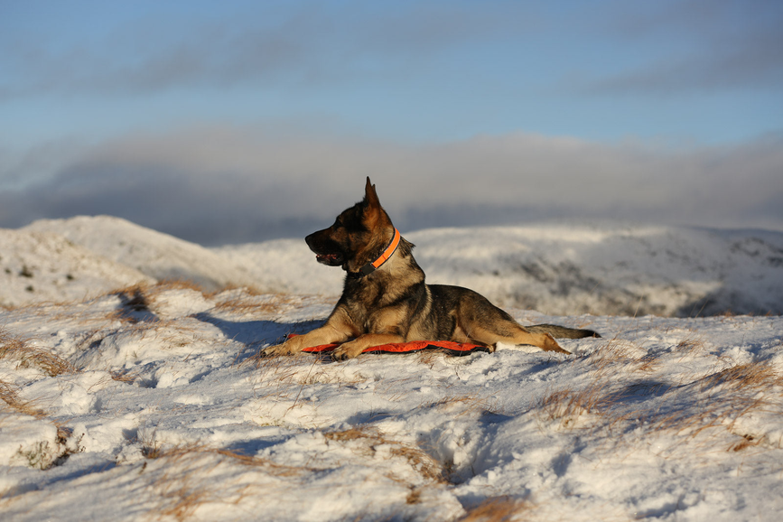bivvy_bed_setting_1.png