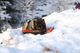 bivvy_bed_setting_2.png