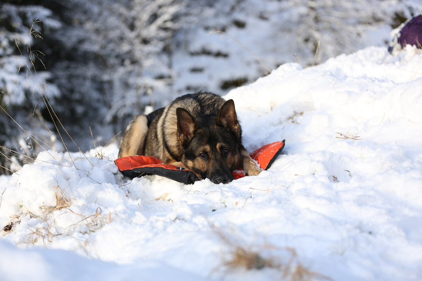 bivvy_bed_setting_2.png