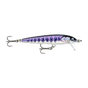 Gilded Iwana