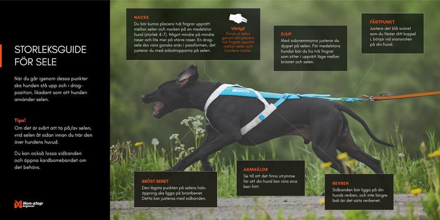 hrn-45007_05.jpg