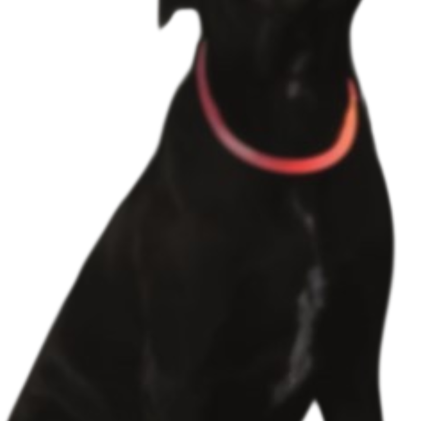 prod1000-dog_saferlife-f.png