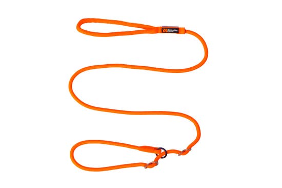 retriever_leash_1.jpg