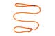 retriever_leash_1.jpg