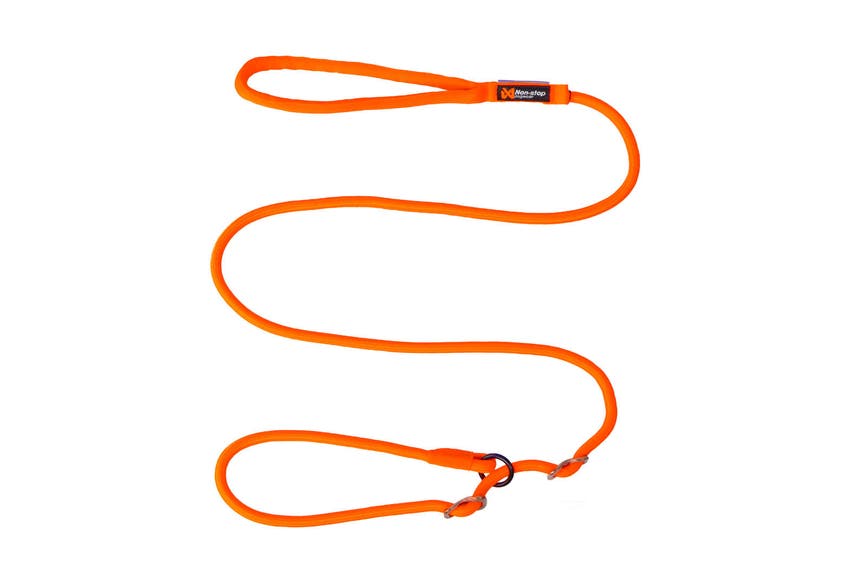 retriever_leash_1.jpg