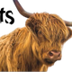 prod1000-304041_etikett-80x225-tuggrulle-lamm-13cm.png