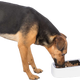 prod1000-clip_24371-1.png
